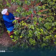 خلفية المشروع