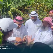 خلفية المشروع