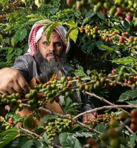 عن الجمعية  