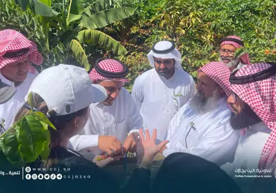 مشروع التشجير واستعادة الغطاء النباتي